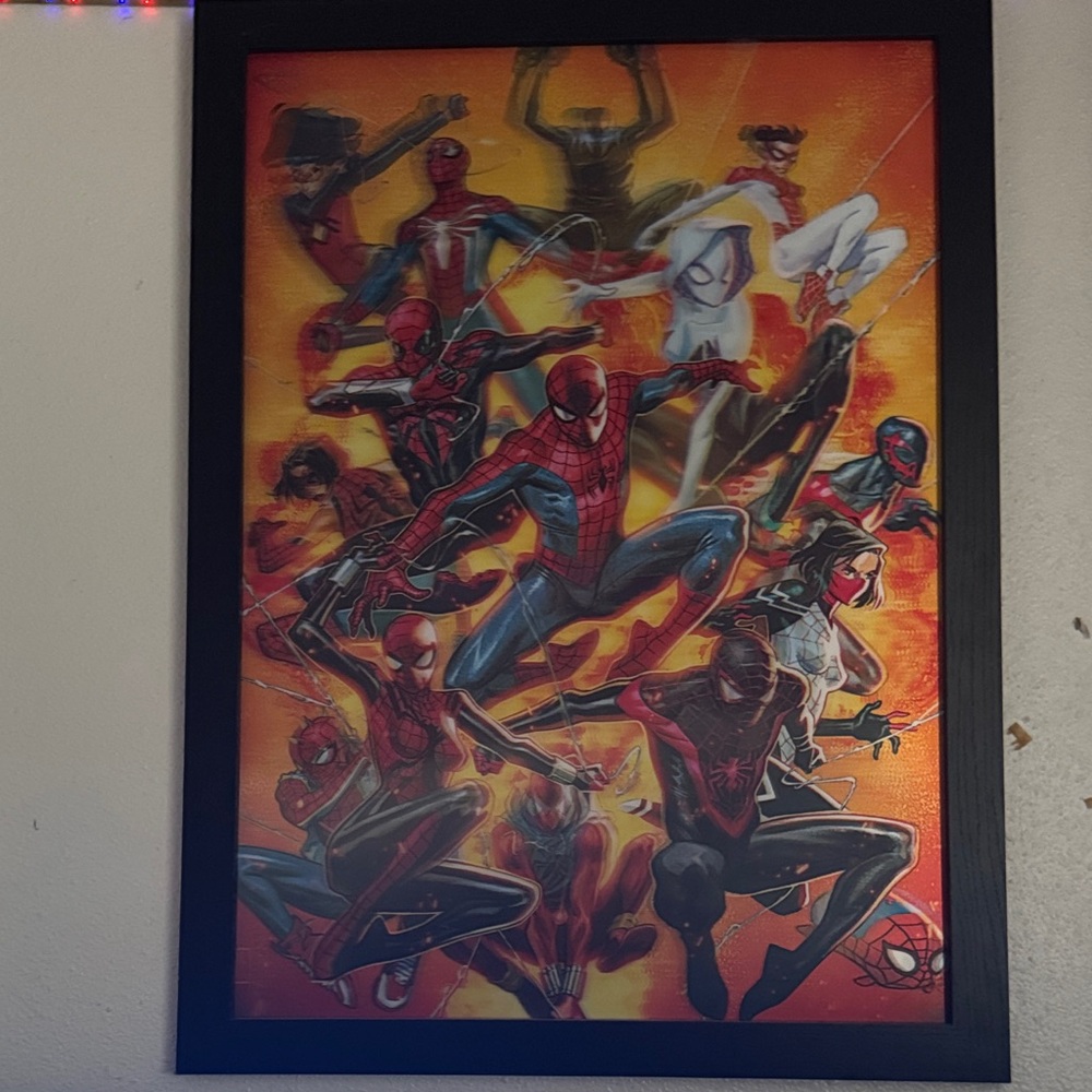 Spider-Man Multiverse Framed Poster